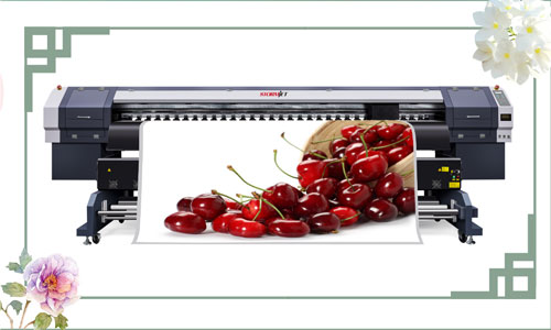 Stormjet Eco Solvent Printer